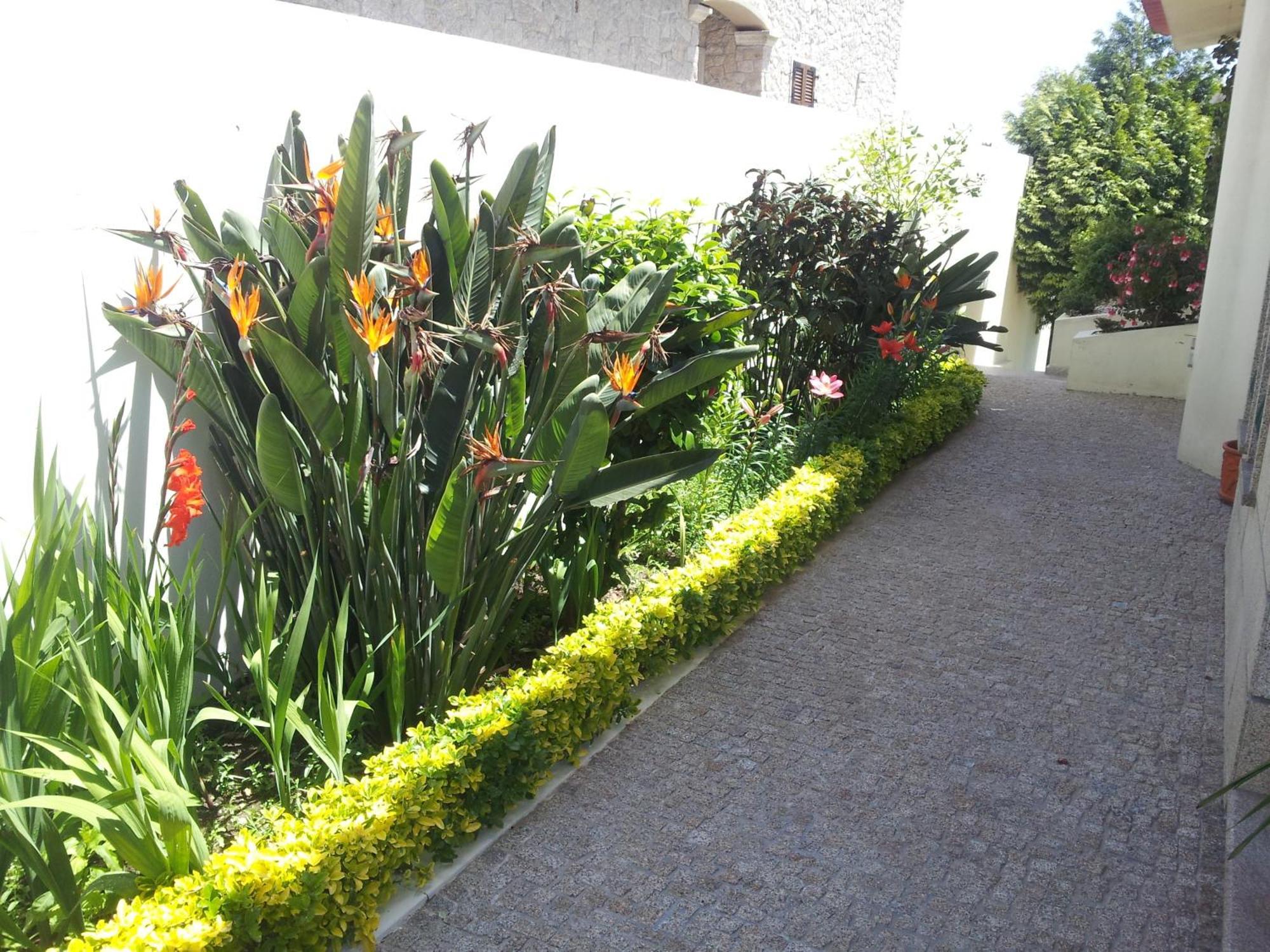 Villa D'Arcos Arcos (Vila do Conde) Exterior foto